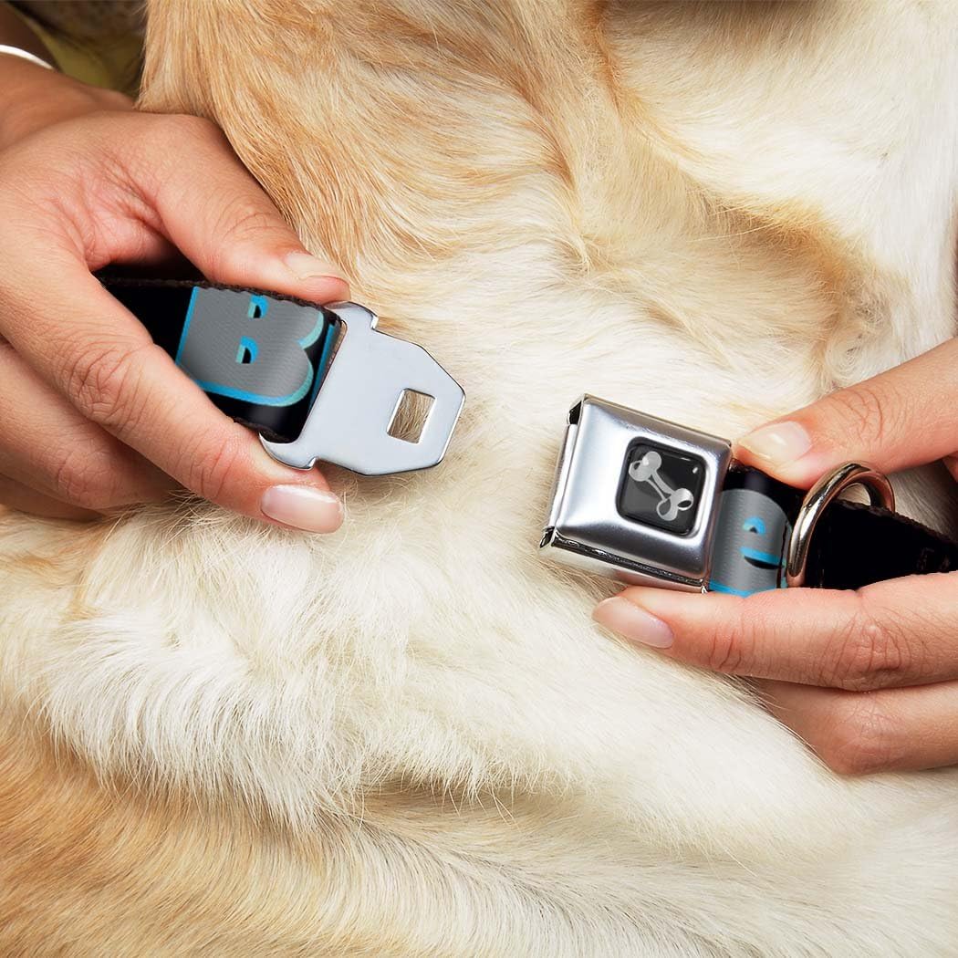 Buckle-Down Seatbelt Buckle Dog Collar - BITCH PLEASE Black/Blue/Gray - 1" Wide - Fits 15-26" Neck - Large