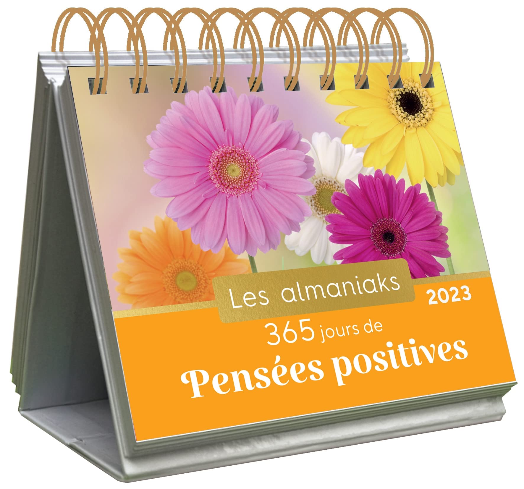 365 Pensées Pour Vivre Mieux Chaque Jour Almaniak 365 jours de pensées positives 2023 - Calendrier 1 citation par  jour : Neuville, Cécile: Amazon.fr: Livres