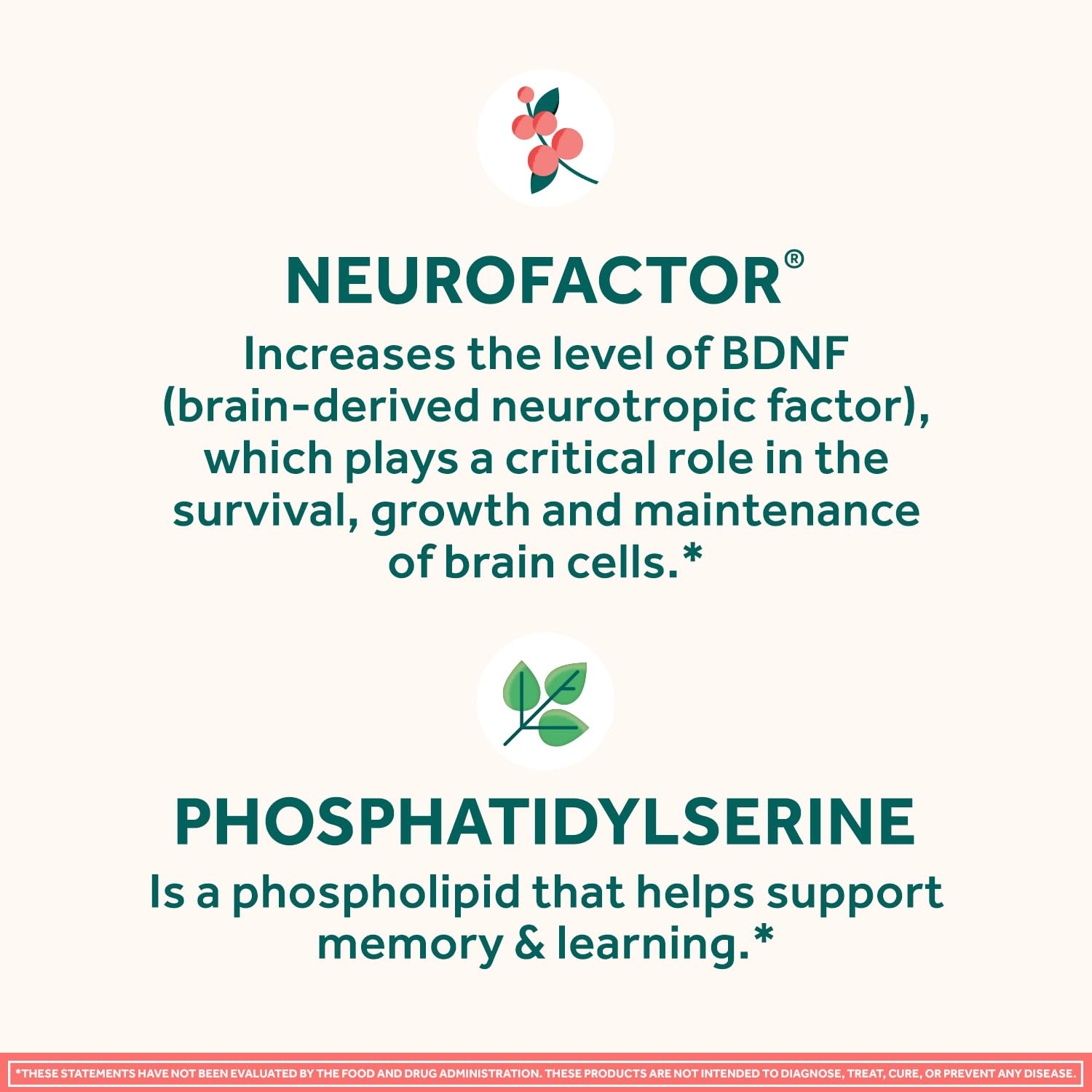 NEURIVA Original Brain Supplement for Memory, Focus & Concentration with Clinically Tested Nootropics Phosphatidylserine and Neurofactor, Strawberry Flavor, 50 Gummies (2 Pack) — Amazon image 4