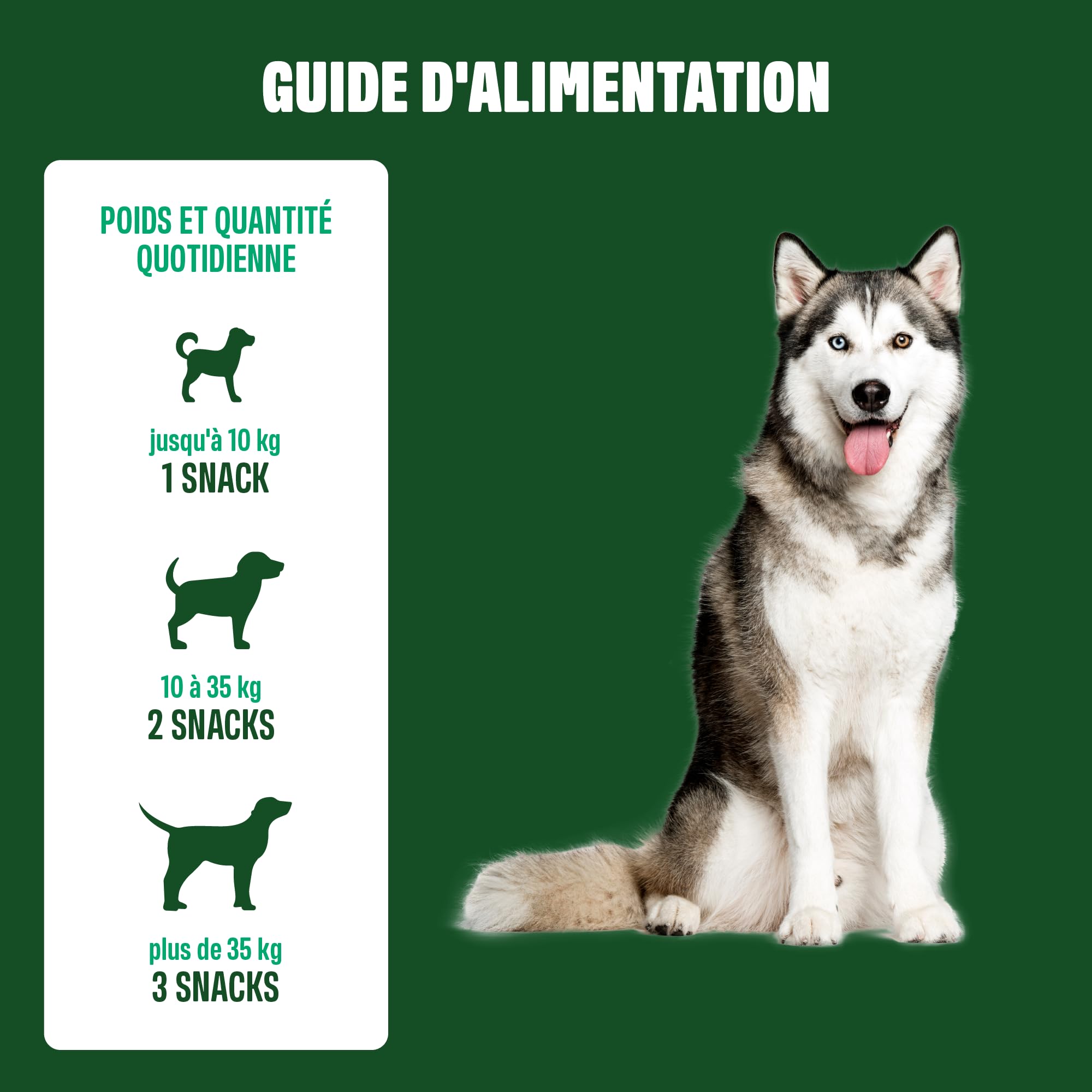 ivvi Snacks d'Hygiène Dentaire pour Chiens, 60 Snacks avec Poulet | Avec Menthe, Persil, Fenouil, Camomille, Huile de Coco, Algues Brunes, Favorise Dents Saines, Haleine Fraîche, Anti Tartre