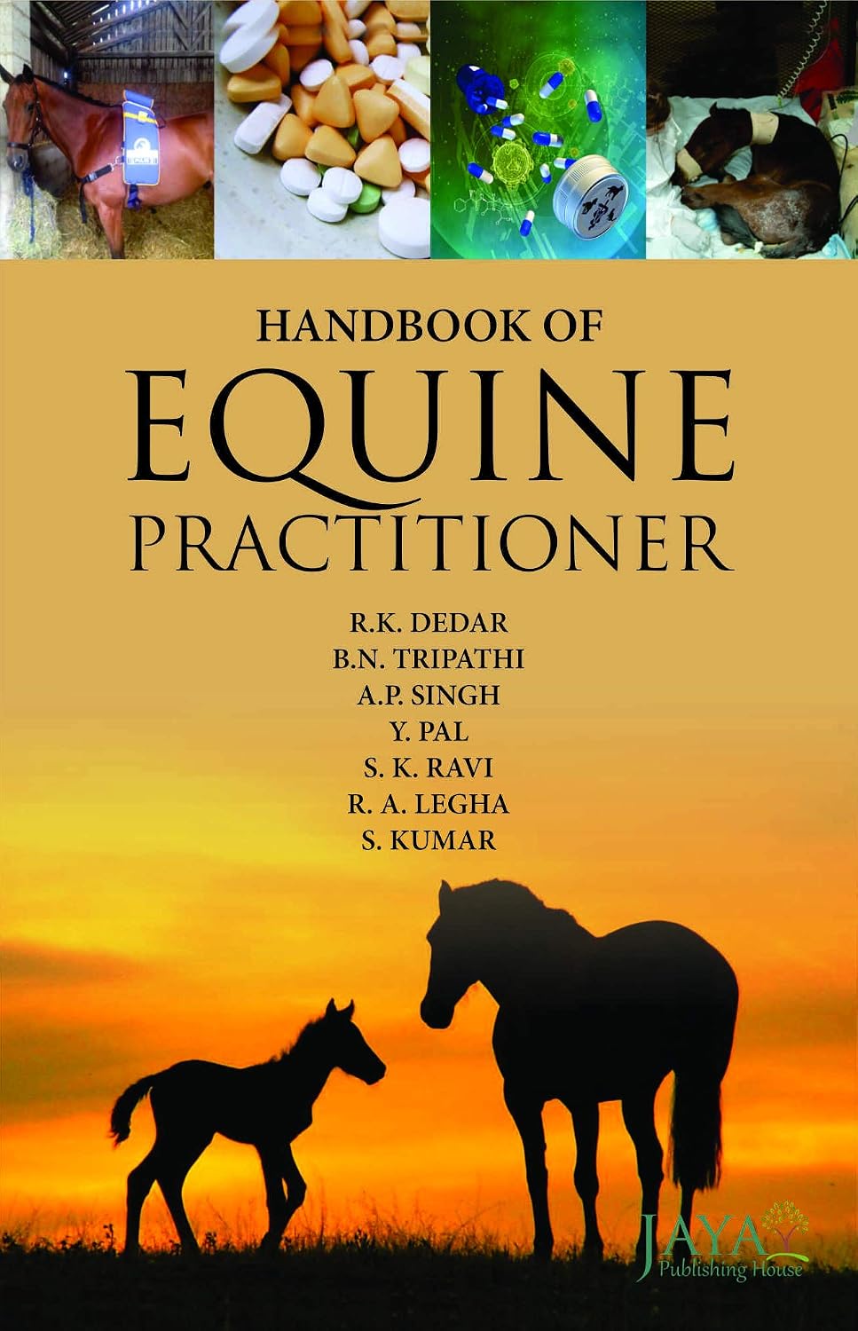 Buy Handbook Of Equine Practitioner Book Online at Low Prices in India ...