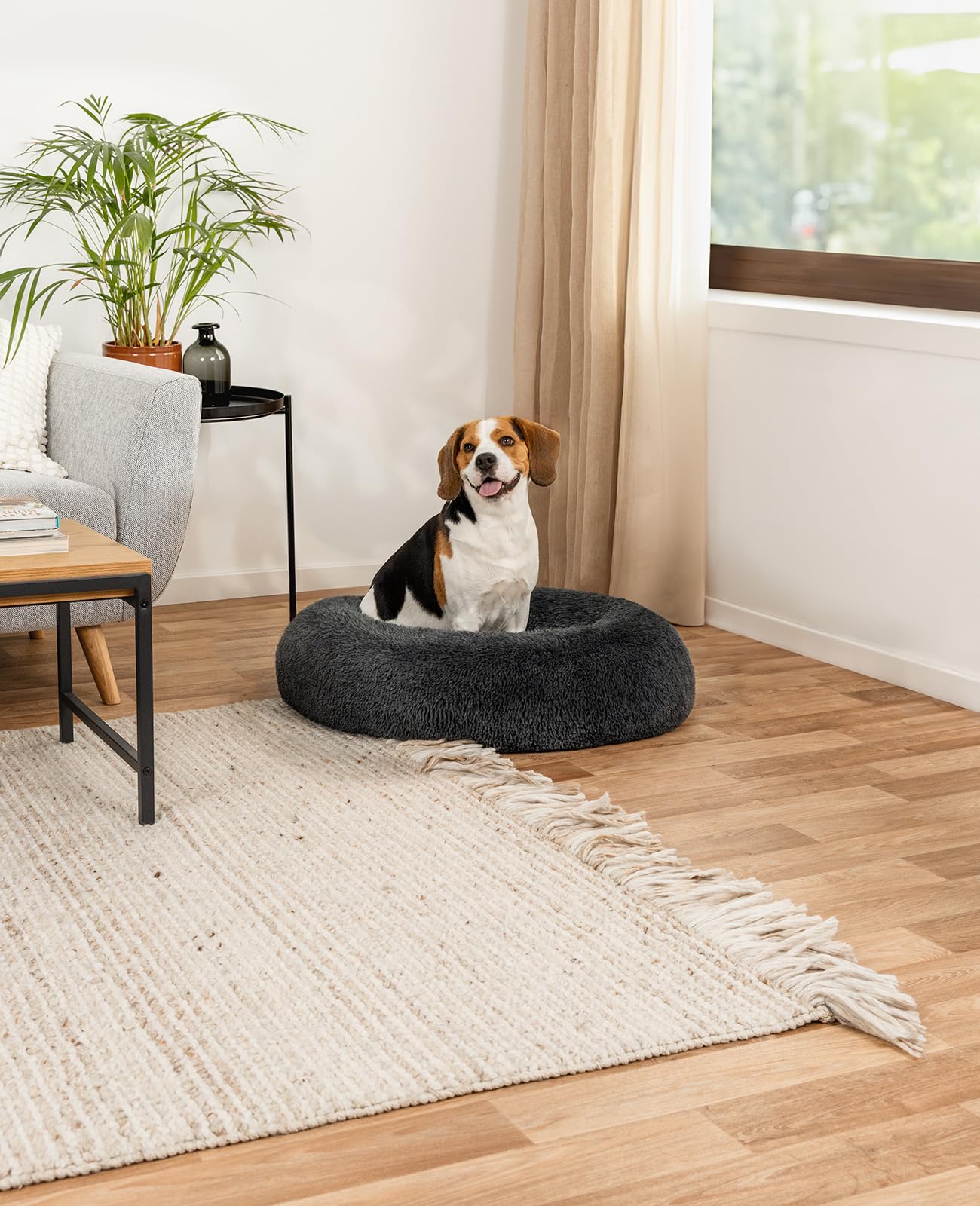 lionto Donutbett für Hunde und Katzen, Flauschiges Hundebett rund für kleine und große Heimtiere, Ø 80 cm, weiches Katzenbett aus kuscheligem Plüsch, Hundekissen mit extra Dicker Füllung, dunkelgrau