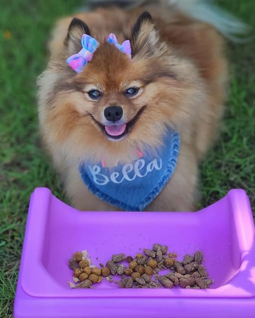 Foto 2 de 8 de The Fluff Trough - Sistema de alimentación Elevado para Perros y Gatos con Cuenco de Silicona para Mascotas…