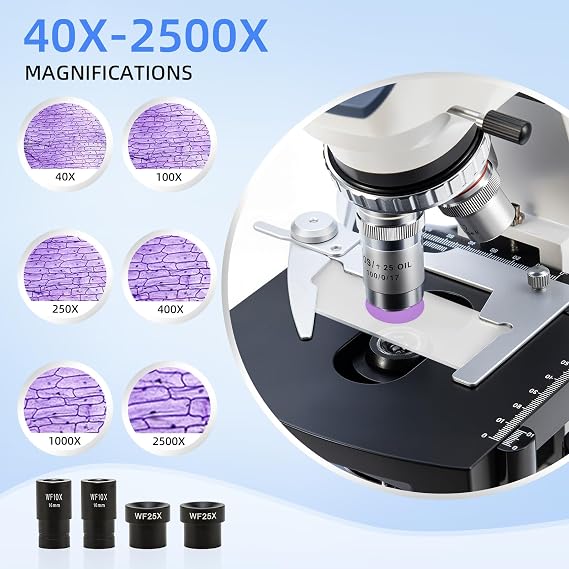SWIFT SW350B Binocular Compound Microscope for Adults, 40x-2500x, Wide-Field 10x and 25x Eyepieces, LED Illumination, Abbe Condenser, Double-Layer Mechanical Stage, UK Plug
