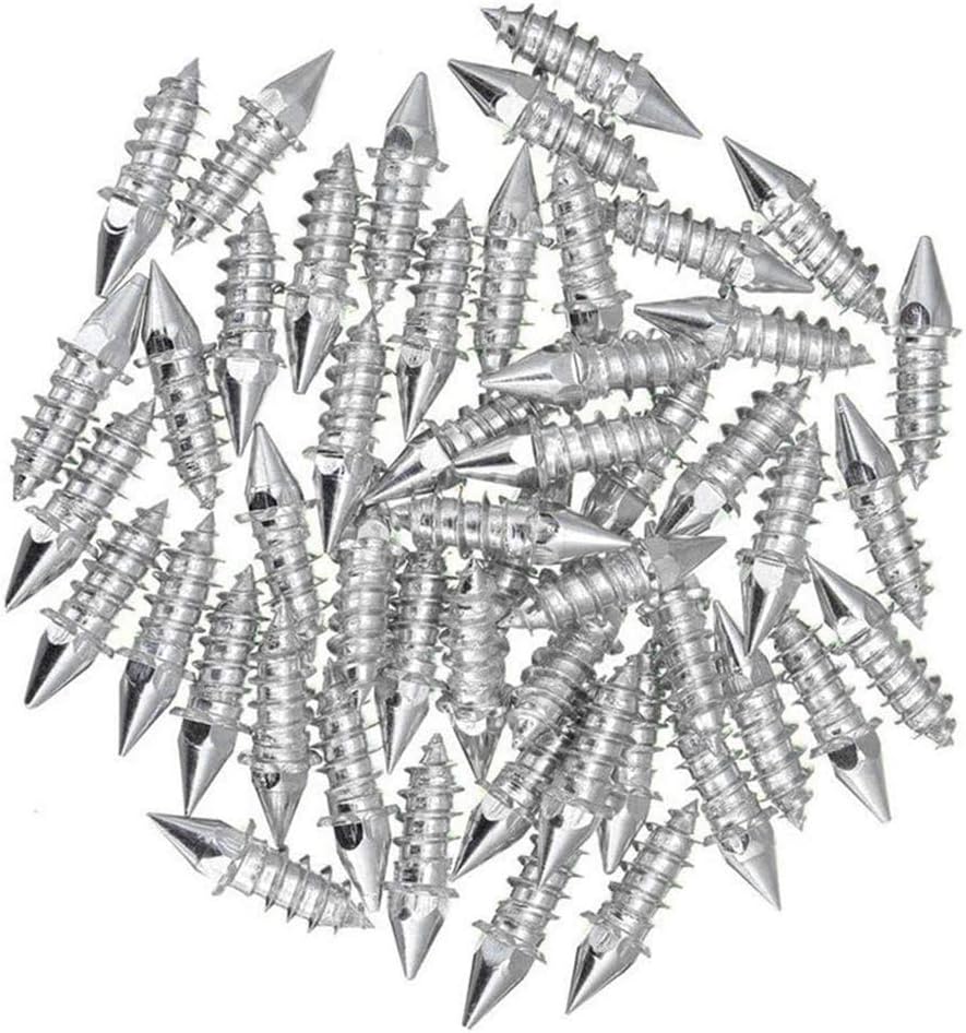 RiToEasysports Anti Slip Ice Snow Spikes Carbide Wheel Antislip Snow Spike 50PCS 27mm Screw Tire Rivets for Car Motorcycle Off Road Winter Ice Mud Tires (Silver)