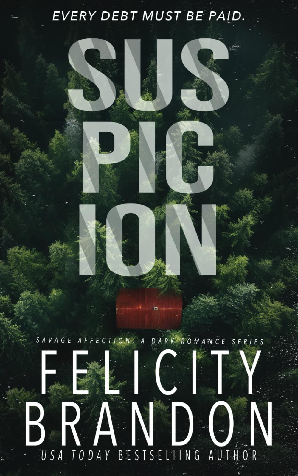 Suspicion: A Dark Romance Kidnap Thriller (Savage Affection)