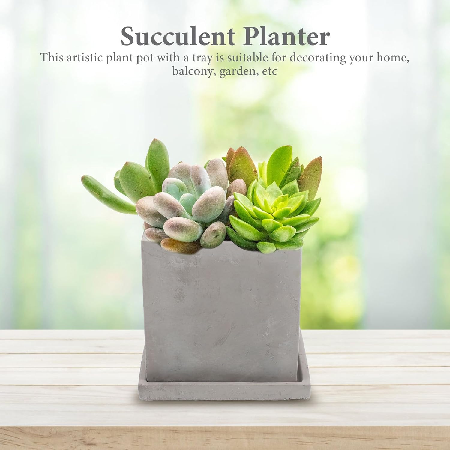 Small Cement Flower Pot Planter with Tray, Decorative Succulent Garden Planter, Indoor Outdoor Bonsai Flower Container, Modern Stone Texture Design