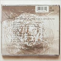 Vista 2 de Into the Labyrinth