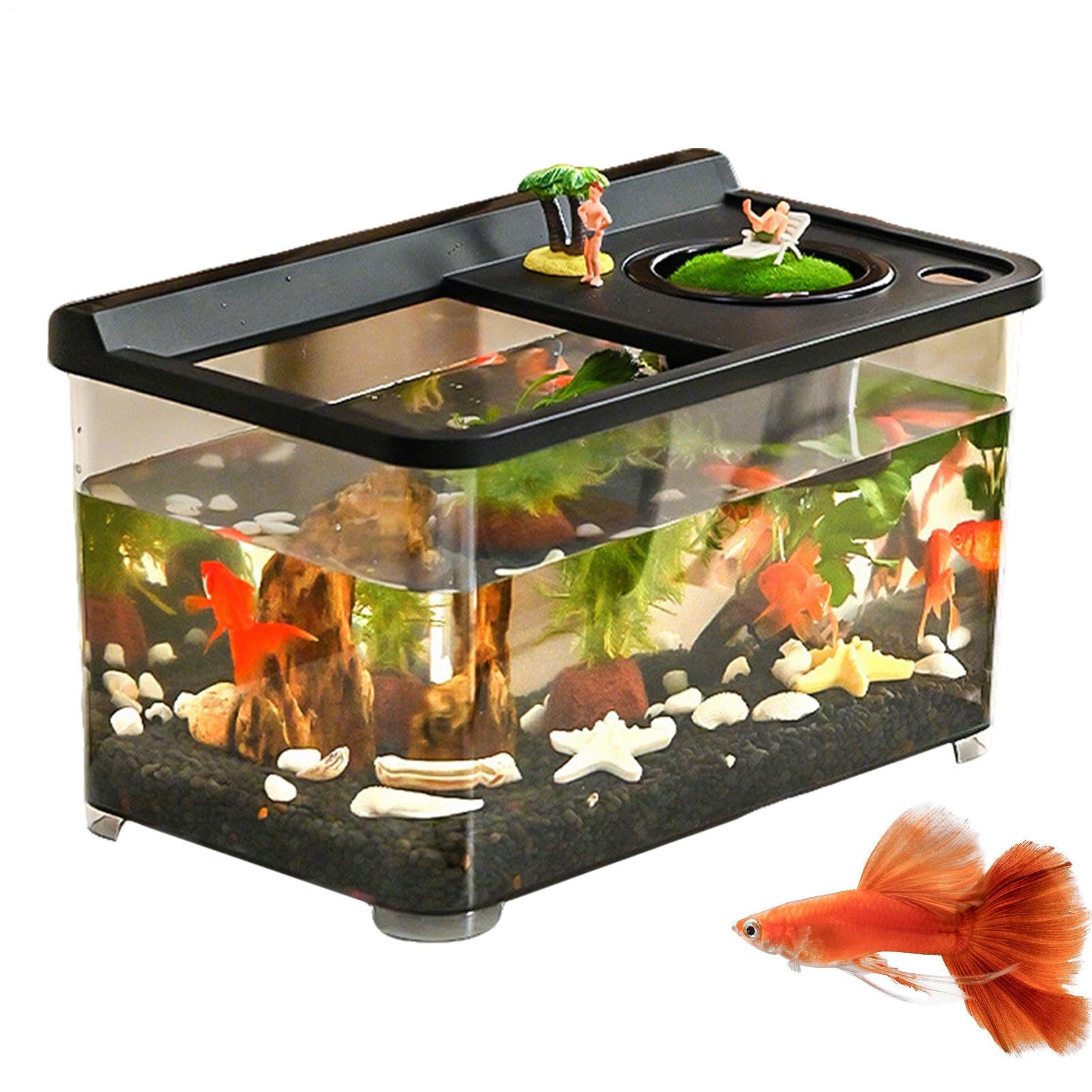 Aquarium de bureau Teksome avec 3 lumières de couleur et vision à 360° pour maison