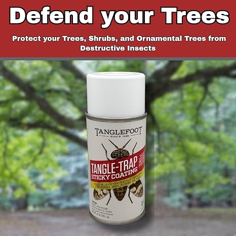 Tanglefoot Tangle-Trap Sticky Coating Aerosol Spray, 10oz Long-Lasting Adhesive for DIY Insect Traps, Garden & Home Use, Easy Application