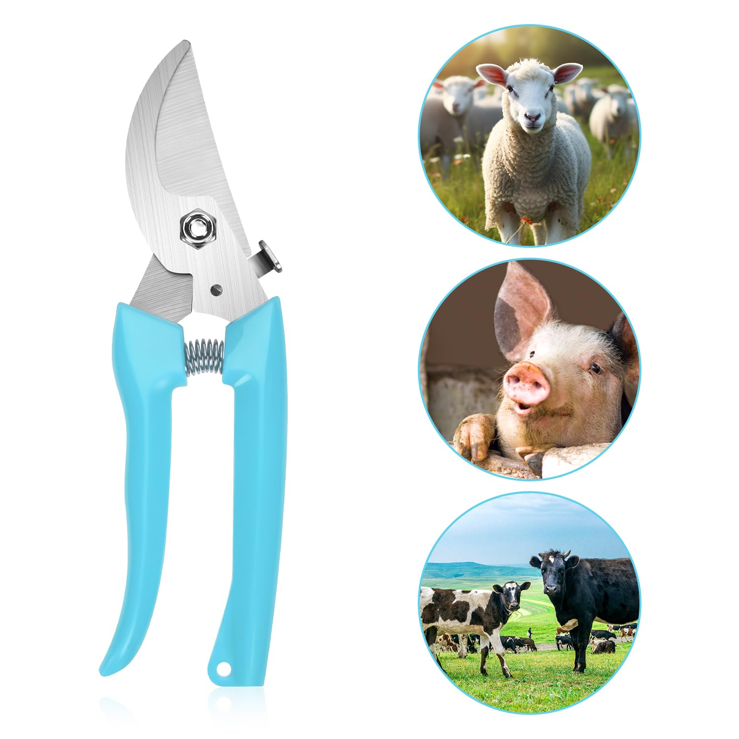 3pcs Goat Hoof Trimmers and File, Nail Clippers for Goats Hoof Nippers Curved/Straight Head Sheep Hoof Trimming Shears Hoof Rasp Horseshoe File for Goat Sheep Lamb Pig Animal Hooves(Off White 3pcs Goat Hoof Trimmers and File, Nail Clippers for Goats Hoof Nippers Curved/Straight Head Sheep Hoof Trimming Shears Hoof Rasp Horseshoe File for Goat Sheep Lamb Pig Animal Hooves(Off White