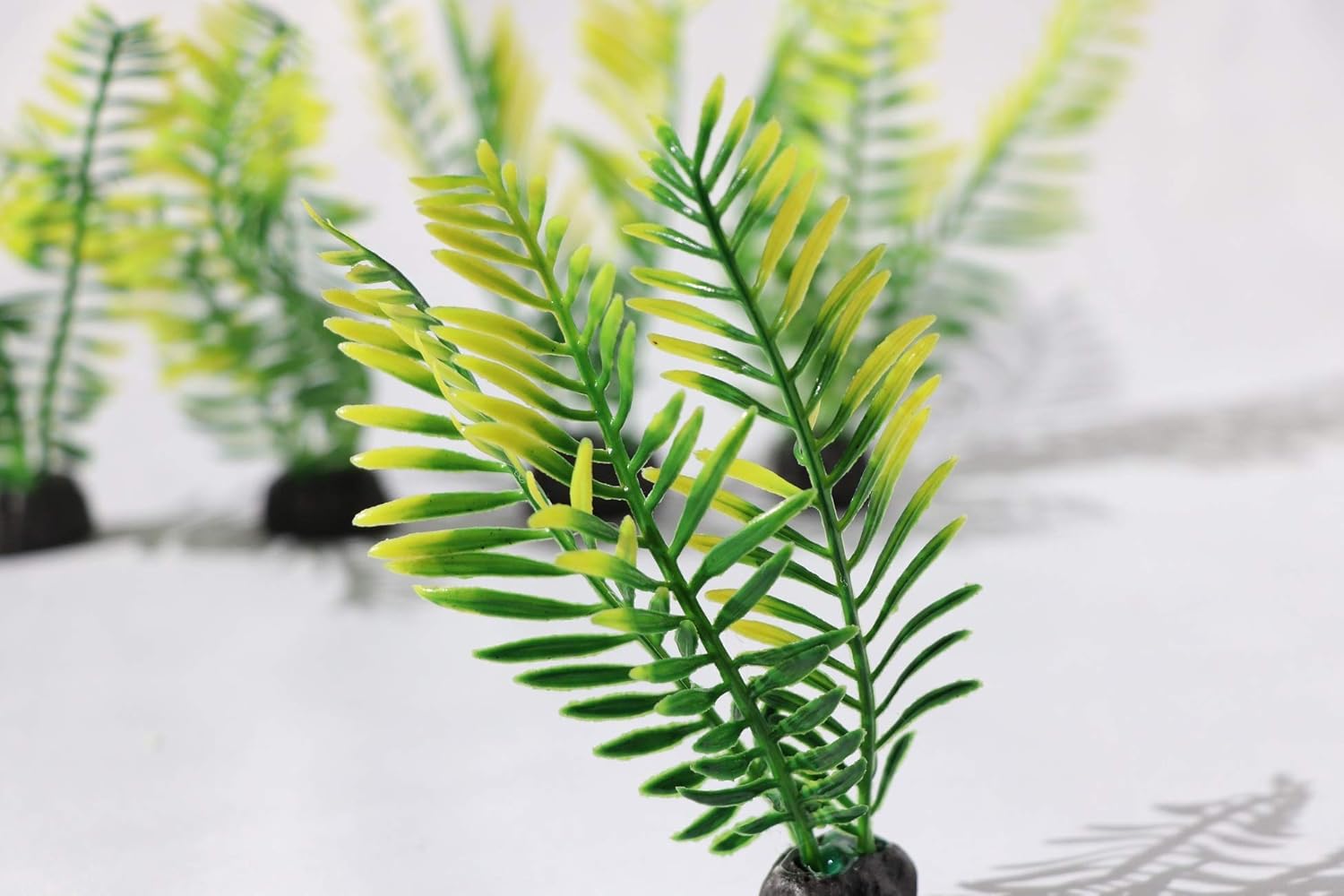 517円 最大81 Offクーポン 水草 人工 5本セット メダカ ベタ 金魚 テトラ 517円 最大81 Offクーポン 水草 人工 5本セット メダカ ベタ 金魚 テトラ