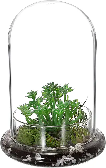 OGA Mini Glass Plant Terrarium with Air Holes - Clear Dome Planter Pot