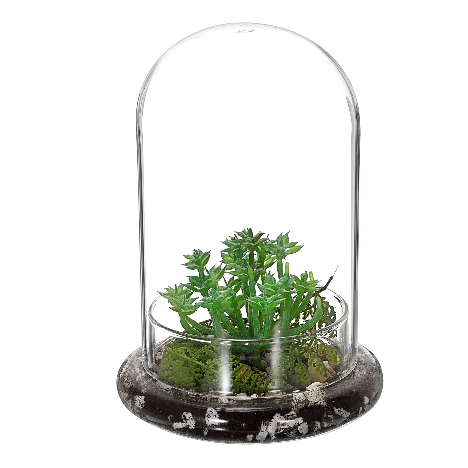 Mini pot de terrarium pour plantes succulentes - Dôme en verre transparent avec trou d'aération de 3 mm - Cloche décorative en verre avec fond en verre - Décoration de table pour bureau