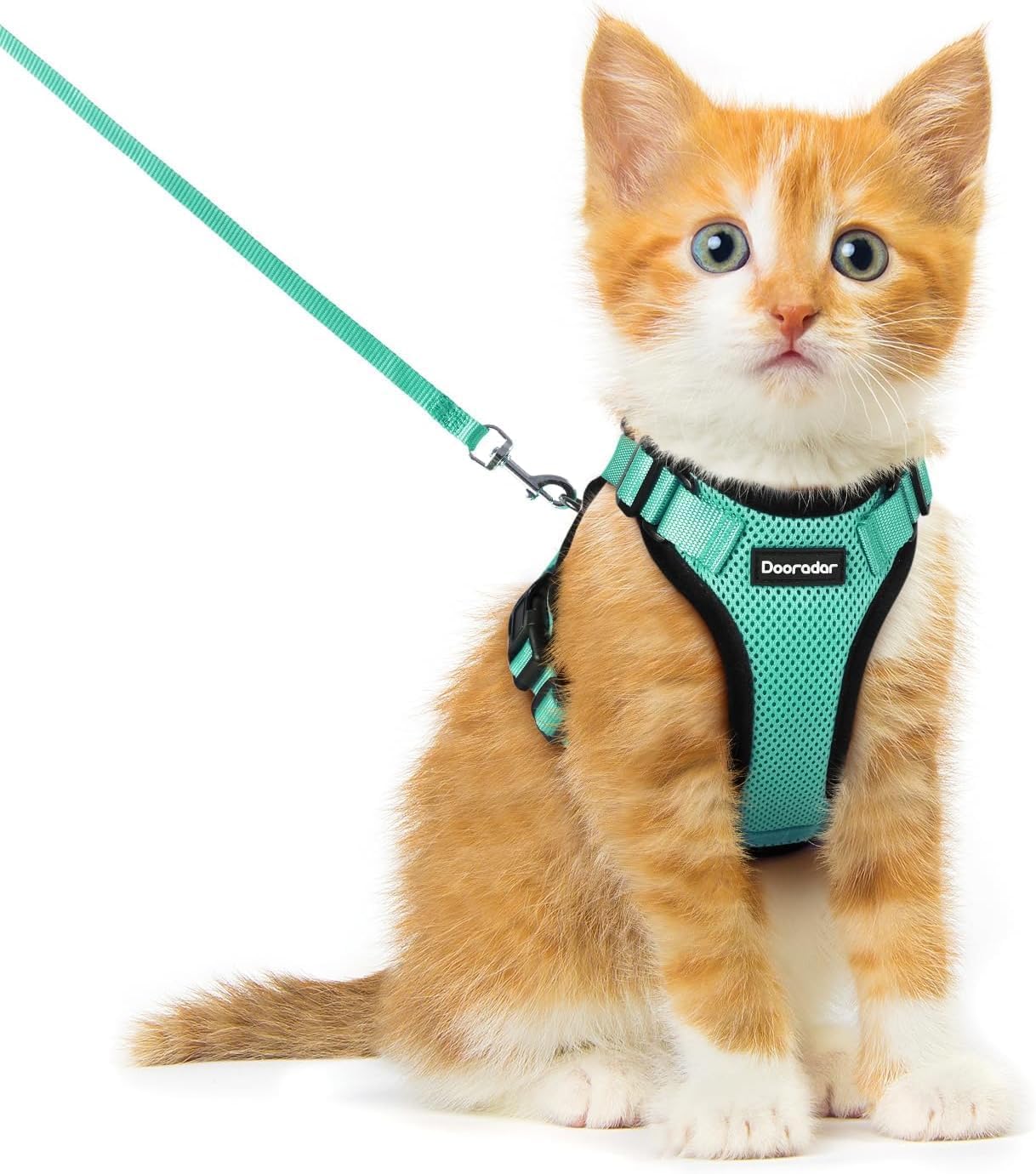 Harnais et laisse pour chat Dooradar vert XXS anti-fugue réglable en maille respirante