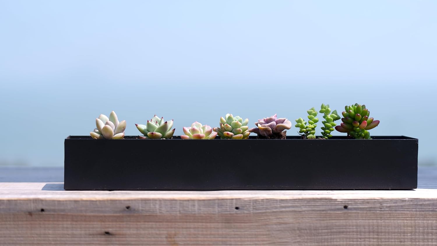 Black Planter Box Hanging Planters for Indoor Plants Succulent Pots Metal Wall Planter with Drainage Holes