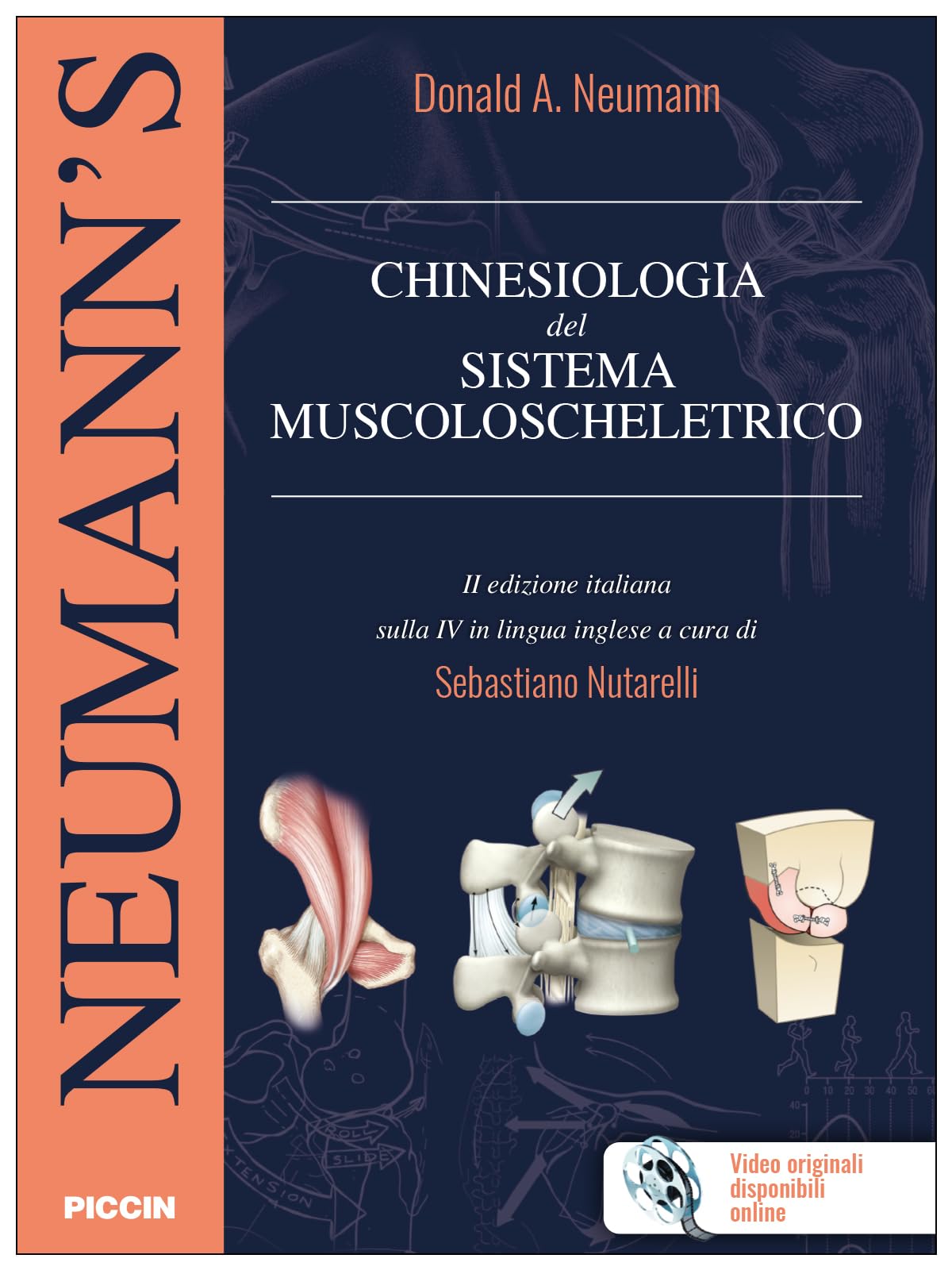 Chinesiologia del sistema muscoloscheletrico