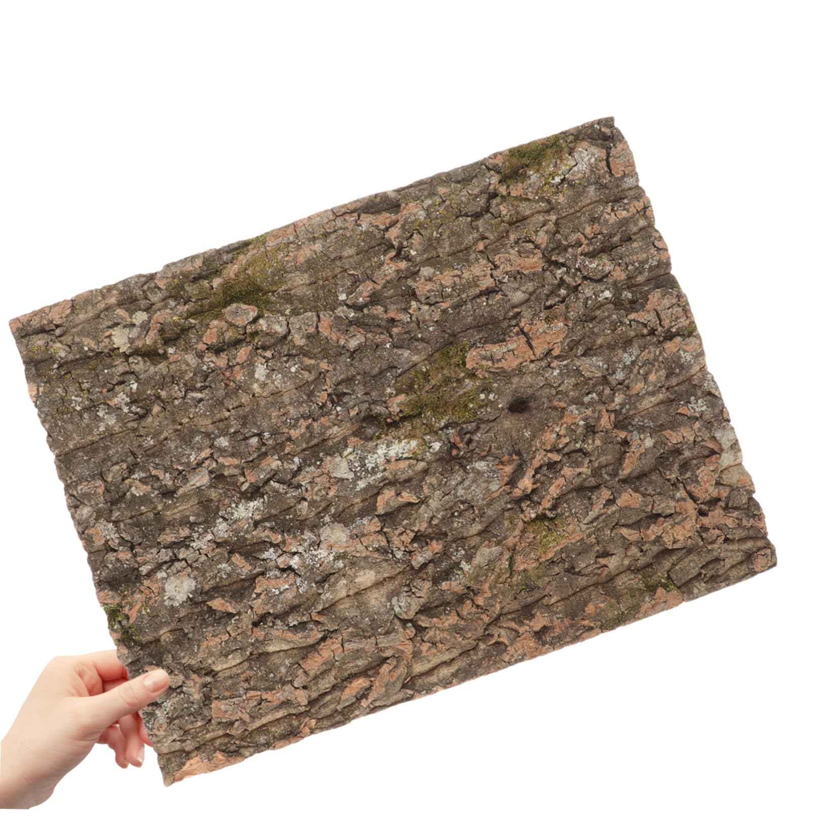 de Corcho Natural y Natural 2piezas para Terrario de Reptiles Textura Auténtica de, Compatible Universalmente para Hábitats de Geckos