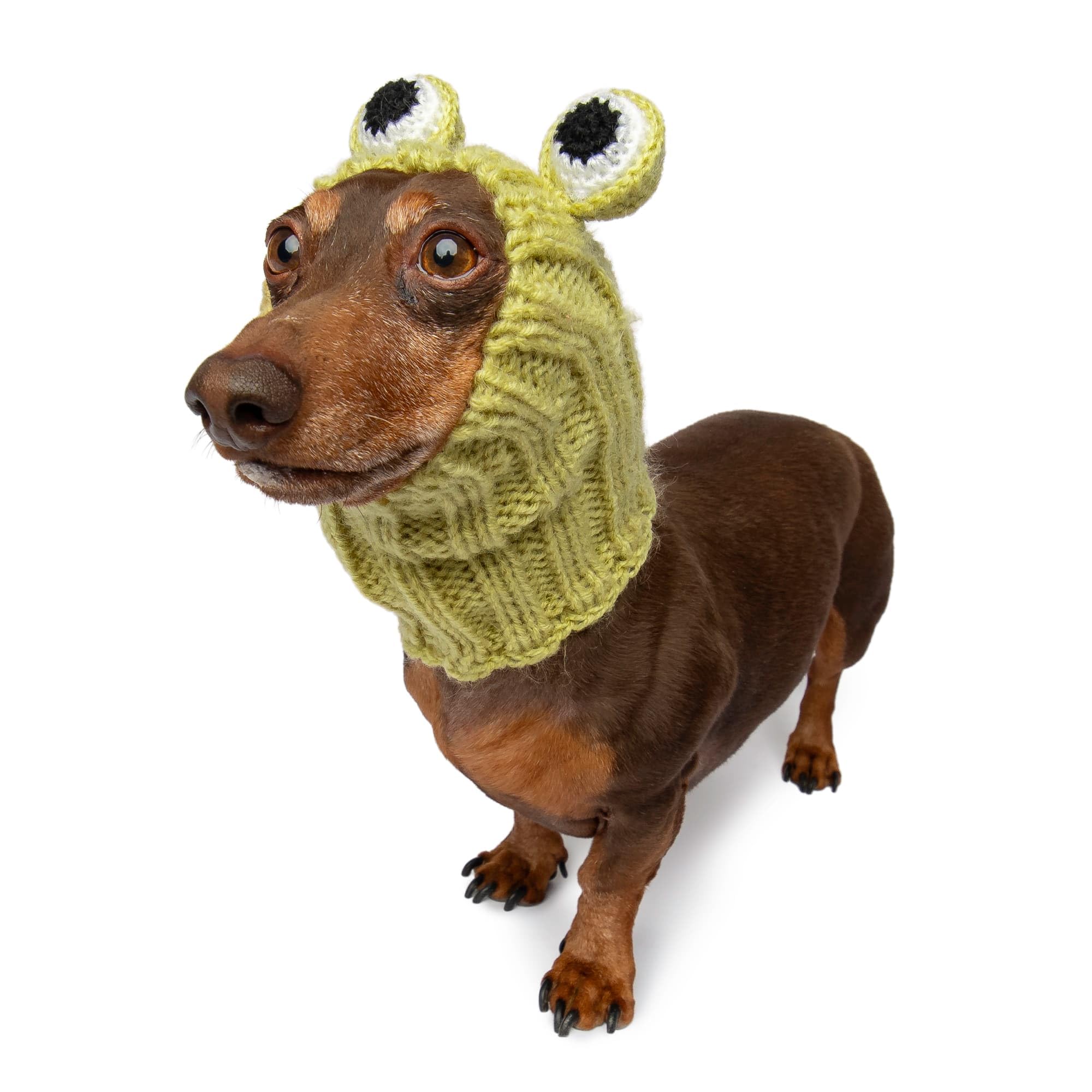 Zoo Snoods Frog Costume - Knit Dog Snood Ear Wrap for Pets, Warm Neck Cover for Halloween and Winter (Small)