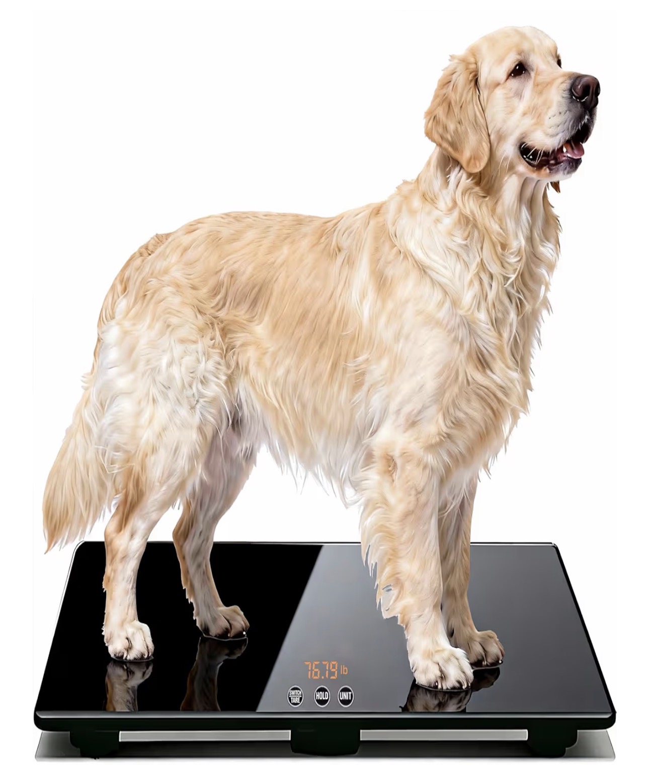 Heavy Duty Large Dog Scale