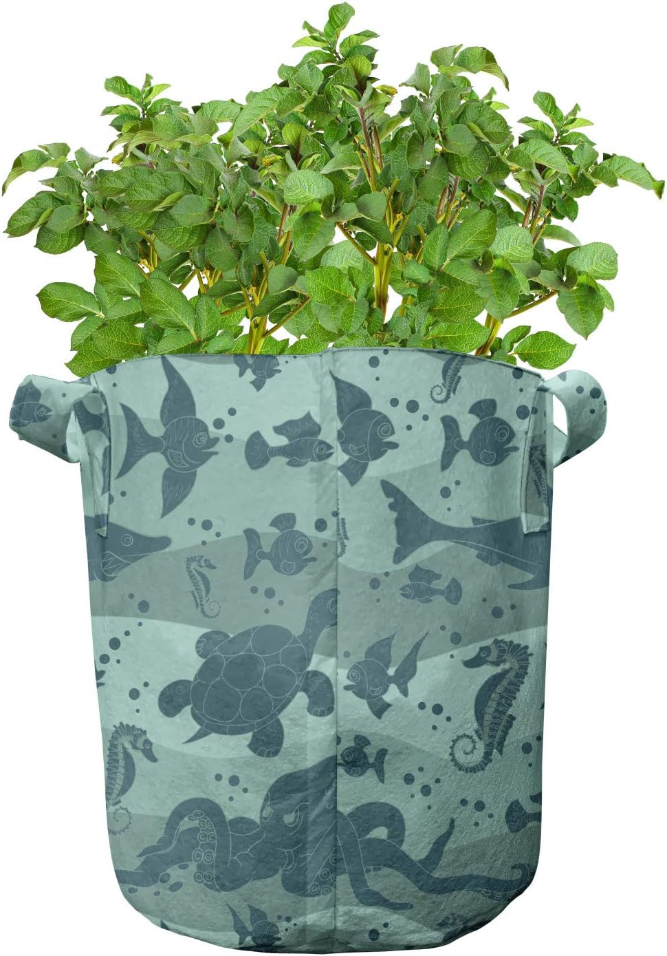 Ambesonne Underwater Grow Bags 5-Pack, Sea Life Creatures, Heavyduty Fabric Pots with Handles for Plants, 7 Gallon, Sage Green Slate Blue