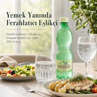 Nabeghlavi Natural Mineral Water 500Ml x 12