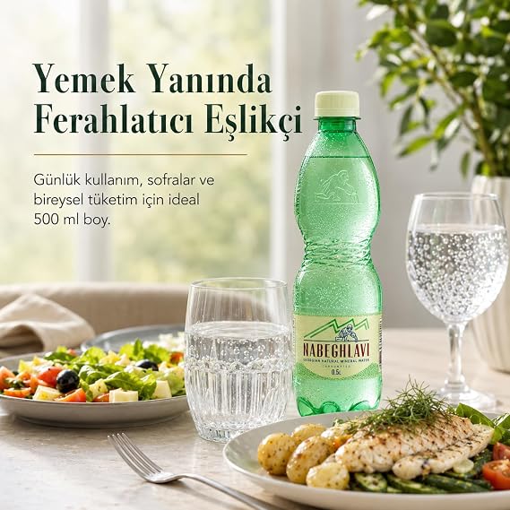 Nabeghlavi Natural Mineral Water 500Ml x 12