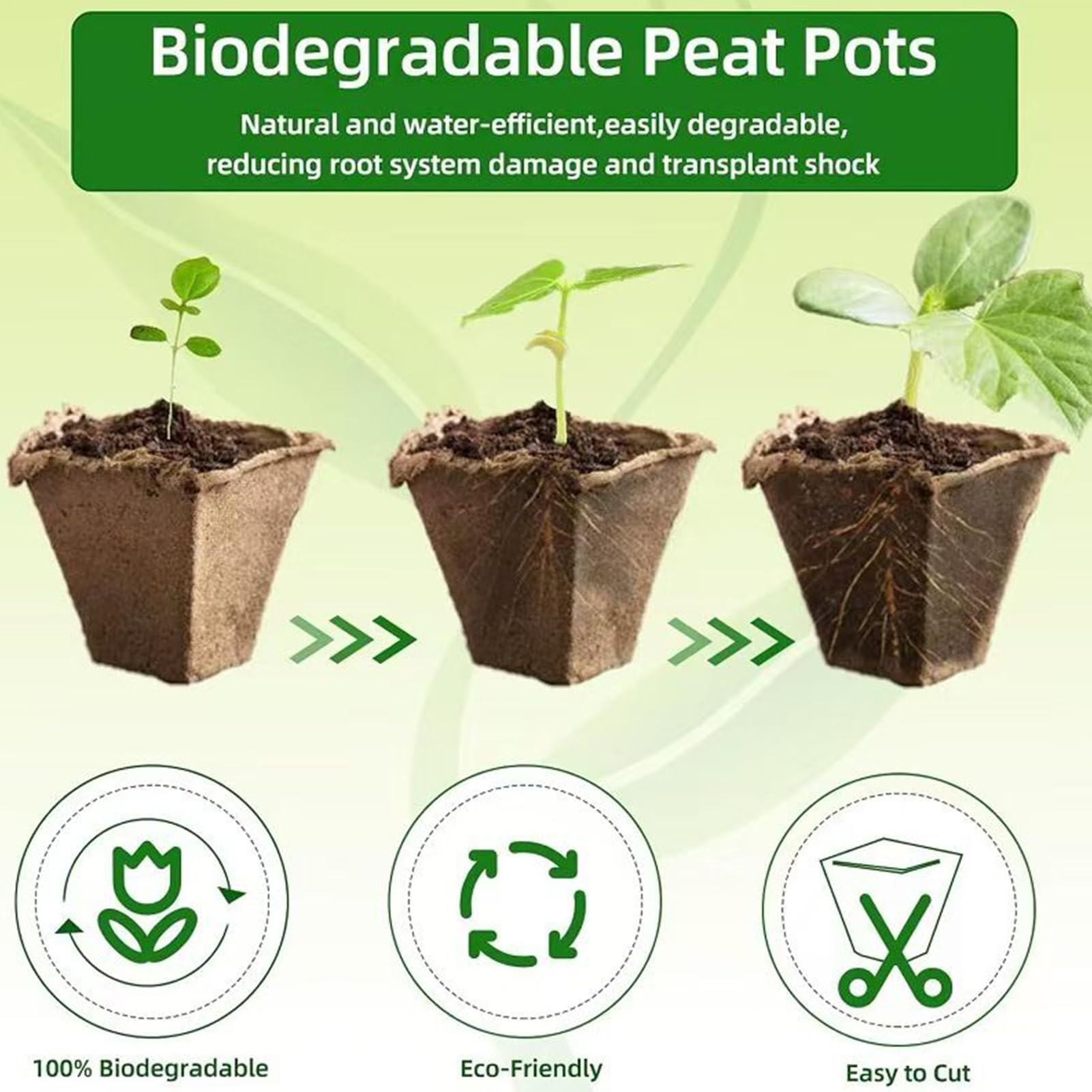 Macetas de Inicio para Plantas Kit de Vasos de Trasplante de 12 Celdas | con Herramientas y Etiquetas Vasos de Plantación Amigables con Raíces para el Cuidado Crecimiento y