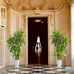 Warmplants Artificial Dracaena Tree, 6ft Tall Fake Dracaena Plant with Basket, Indoor Outdoor Faux Topiary Yucca Trees for Office Home Living Room Porch Patio Décor