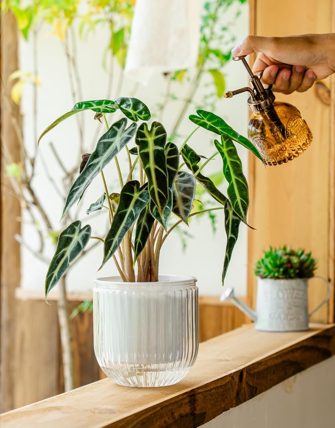 Melphoe Self Watering Pots for Indoor Plants Planter, 8.3/5.3 Inch 2 Pack Planters Self Watering Plant Pots for Flower, Houseplants, Succulent, African Violets and Cactus with Drainage