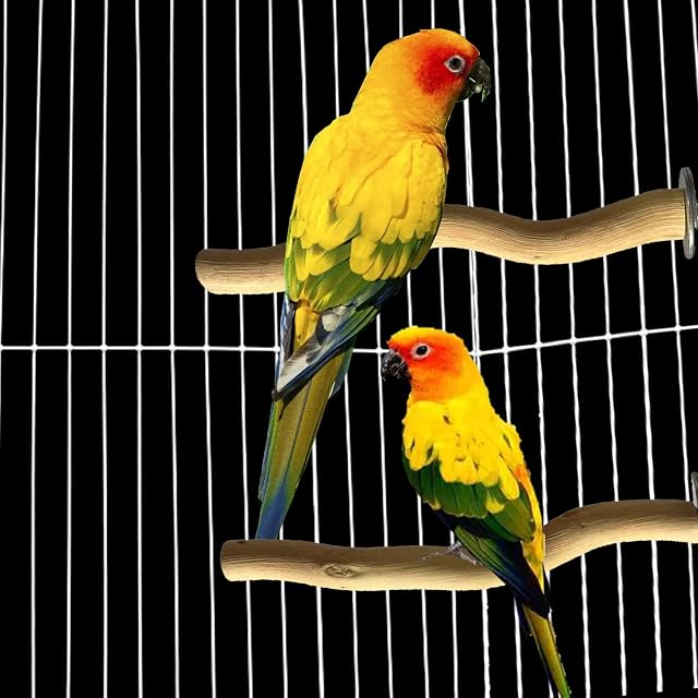 Foto 6 de 6 de Allazone 5 Pz Perchas Naturales para Pájaro, Juguetes para Pajaros, Perca de Pájaro