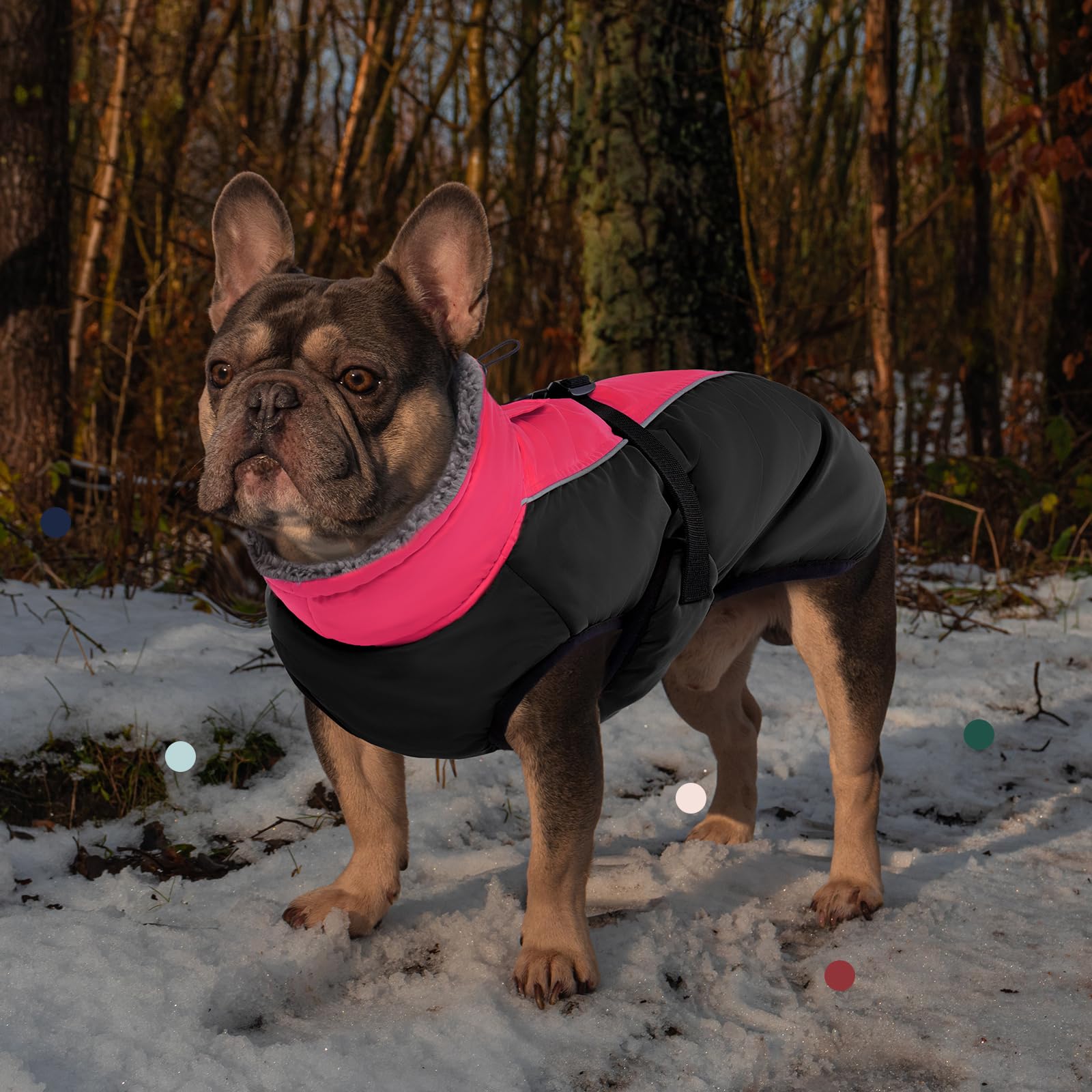 IECOii Abrigo extra cálido para perro, reflectante, ajustable, abrigo de invierno para perro con hebilla, chaqueta de forro polar con cuello alto para clima frío, abrigo de invierno suave para perros