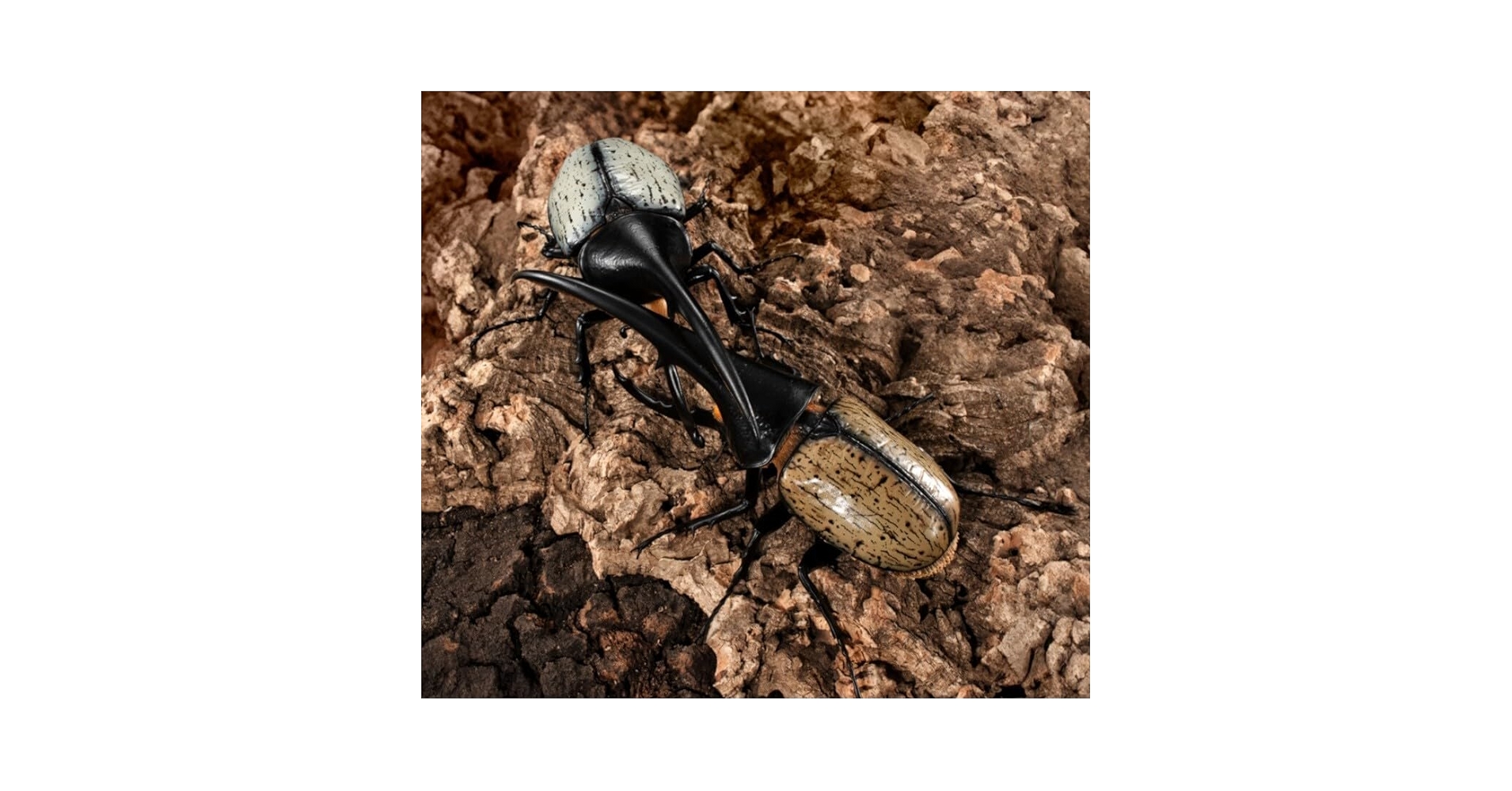 いきもの大図鑑 かぶとむし07　ヘラクレス・ヘラクレス改（黄褐色） Amazon | いきもの大図鑑 かぶとむし07 ヘラクレス・ヘラクレス