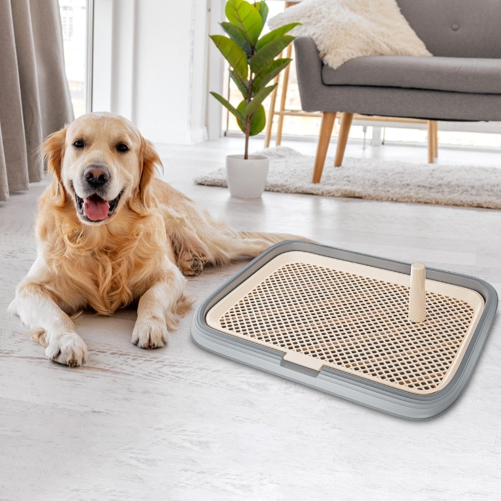 Toilet pour Chien Plateau d'apprentissage Grille à Porte Tapis Réutilisable Confort avec Filet Amovible Adapté Aux Chiots Animaux de Compagnie, Gris