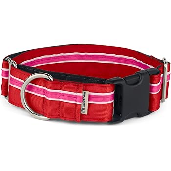 if it barks martingale collar