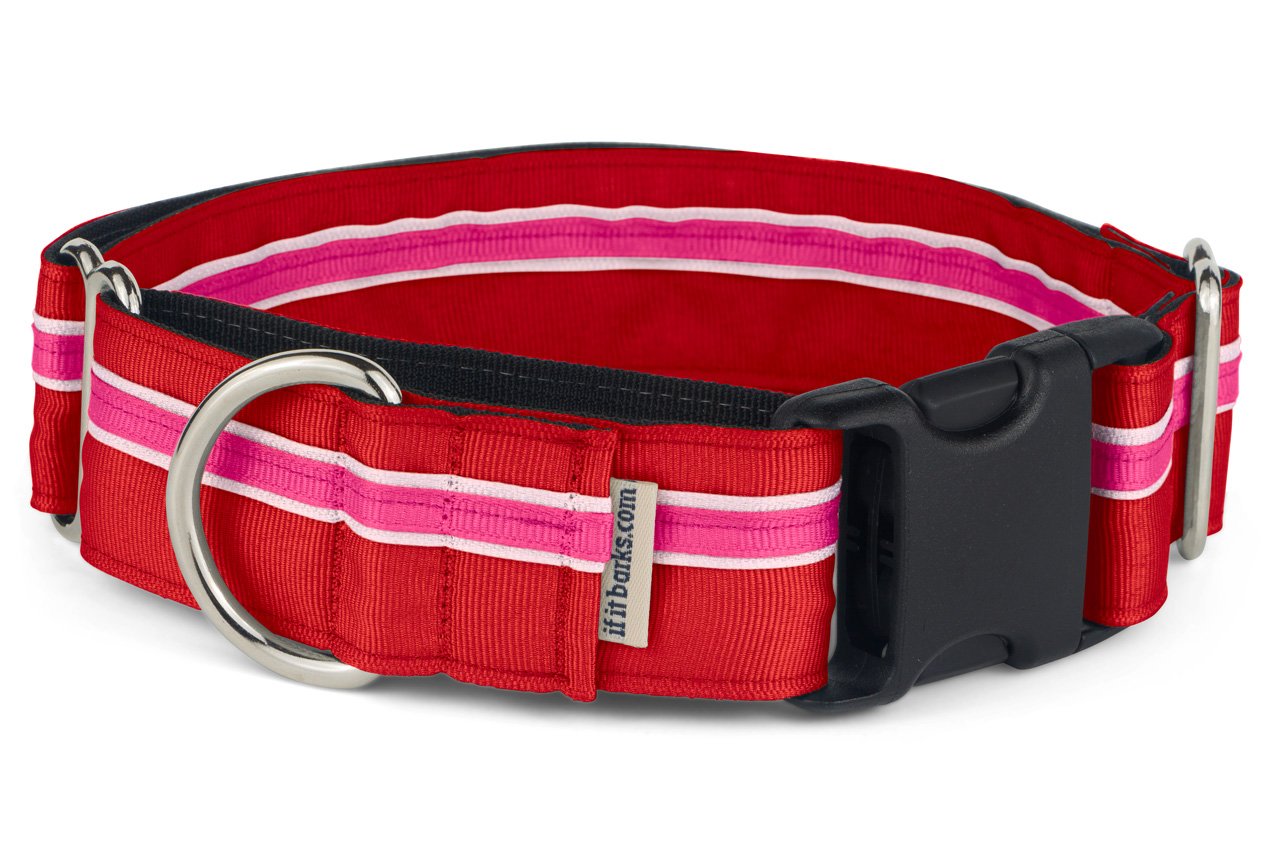 If It Barks - Collare Martingala per cani da 3,8 cm - Fibbia a sgancio rapido - Regolabile - Nylon - Forte e comodo - Ideale per l'allenamento - Made in USA - Medium, Shortcake