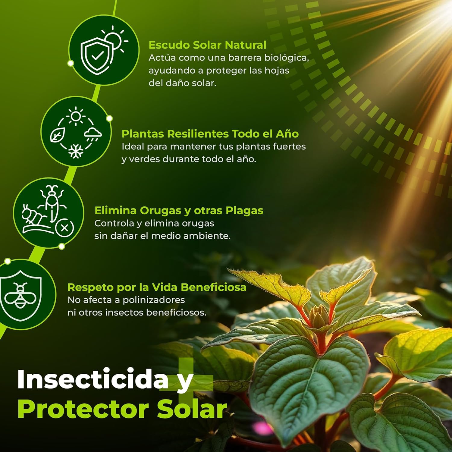 TRABE Pack 5 Bacillus Thuringiensis 40g | Protección contra Orugas Ecológico | Protege Todo Tipo de Cultivos y Plantas de Plagas | Respeta Animales, Medio Ambiente y Personas