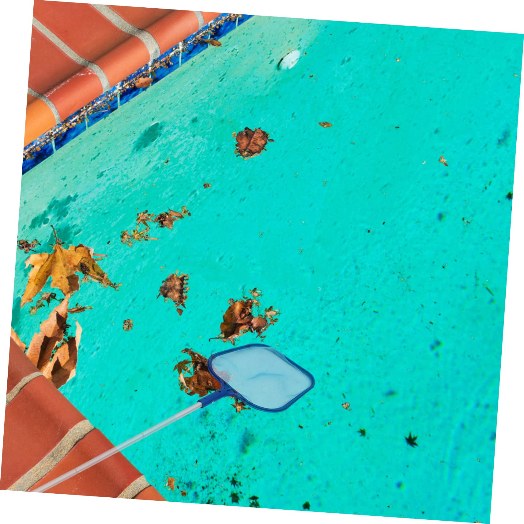 Kit de Limpieza de Piscinas 1 Set, Red de Hojas de Malla Detallada, Poste de 5 Secciones Extraíble, para SPA y Piscinas Superficiales Agua Profunda