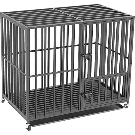large dog crate dimensions