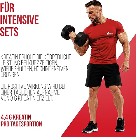 Olimp Creatine 1250 Mega Caps - 500 Capsules