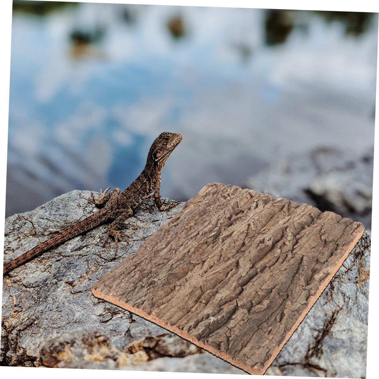 2pcs Natural Cork Bark Background Board Realistic Tree Texture Aquarium Ornament and Reptile Habitat Decor with Green Plant Wall Design for Terrariums Fish Tanks Bearded Dragon