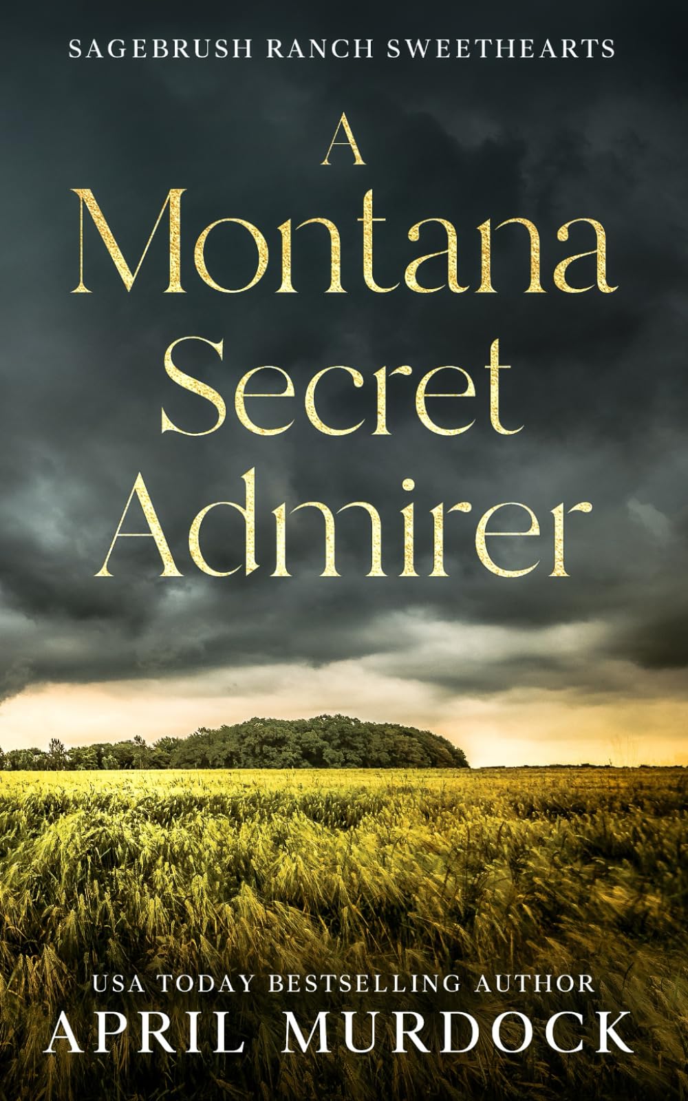 A Montana Secret Admirer (Sagebrush Ranch Sweethearts)