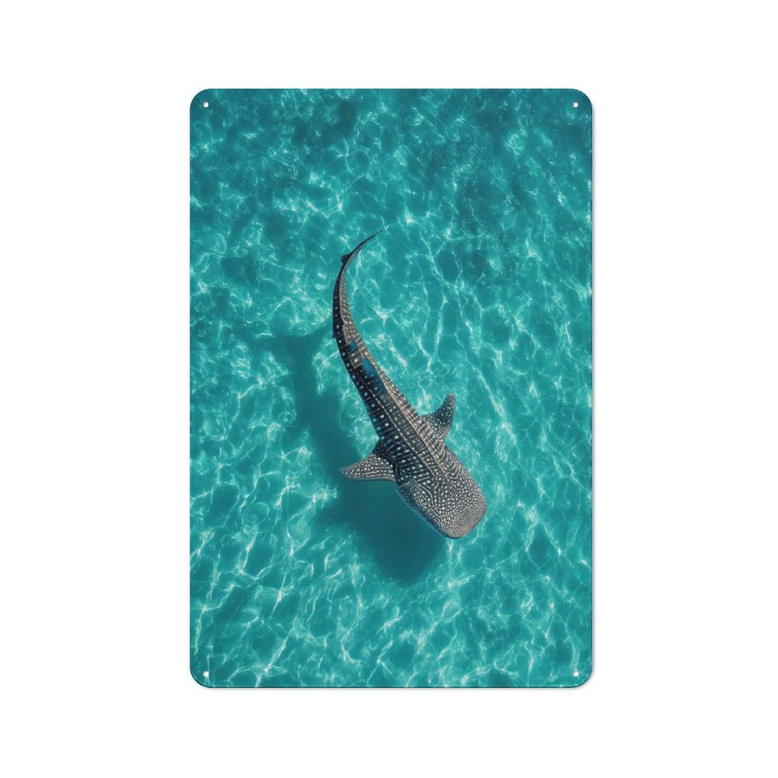 Vintage Whale Shark in Turquoise Water Decorative Tin Plaque 30x20cm, Room Wall Plaque for Hallway, Home Bar, Garage Or Study
