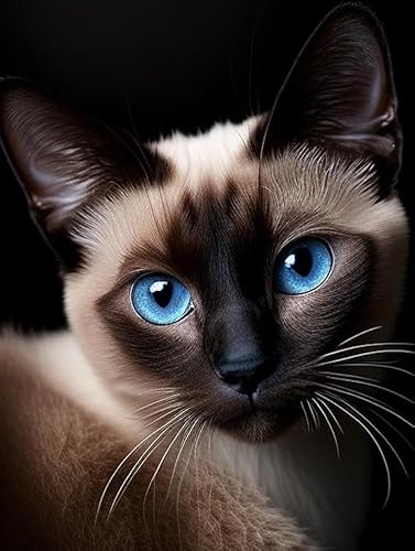 Kits de pintura de diamantes para adultos, lindo gato siamés redondo de taladro completo 5D diamantes gemas arte taladro kits de decoración del