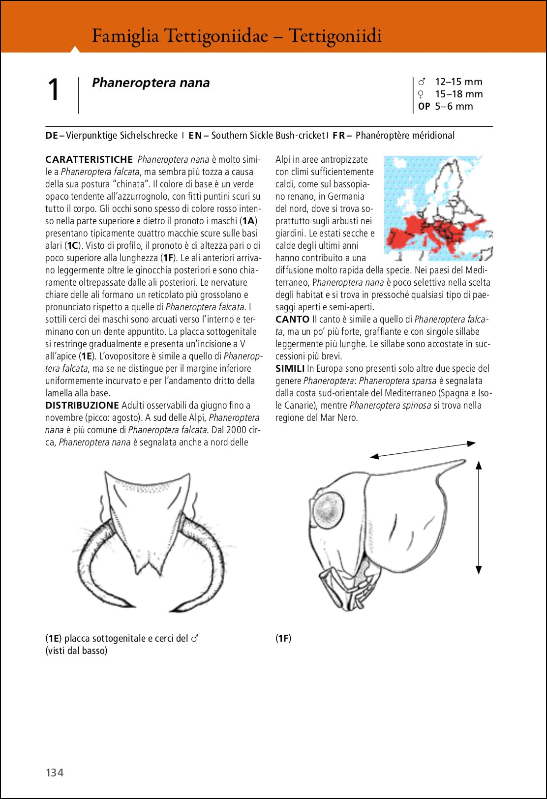 Grilli e cavallette d'Europa