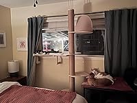 Review Image by Amazon Customer