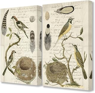 Stupell Industries Avian Journal Bird Illustrations Canvas Wall Art, 2pc Each 16 x 20, Multi-Color