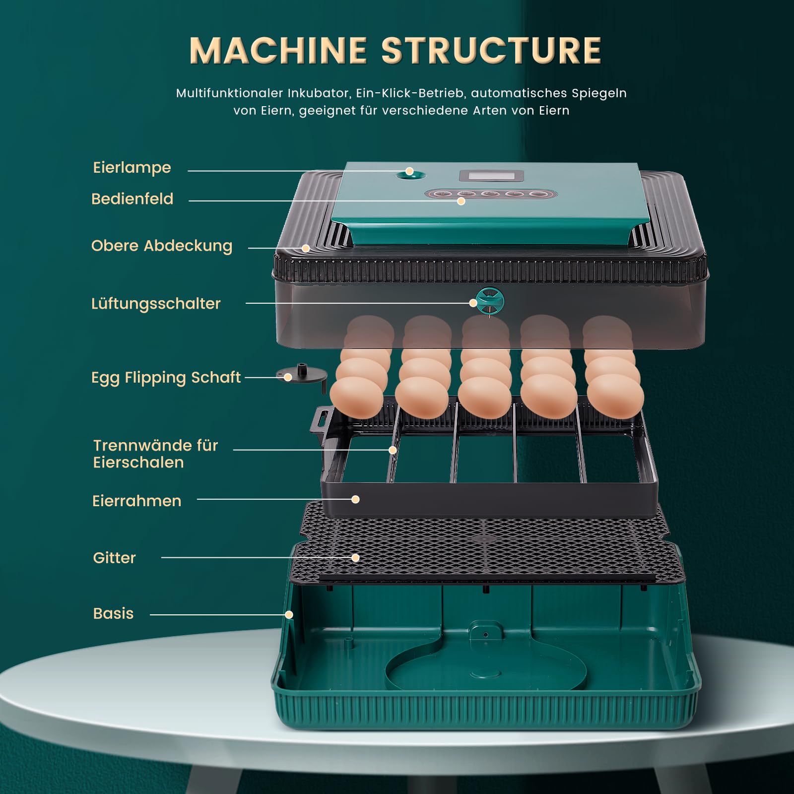 MUALROUS 35 Eier-Brutkasten – Automatisch Drehen, Produktbild-Vorschau 4