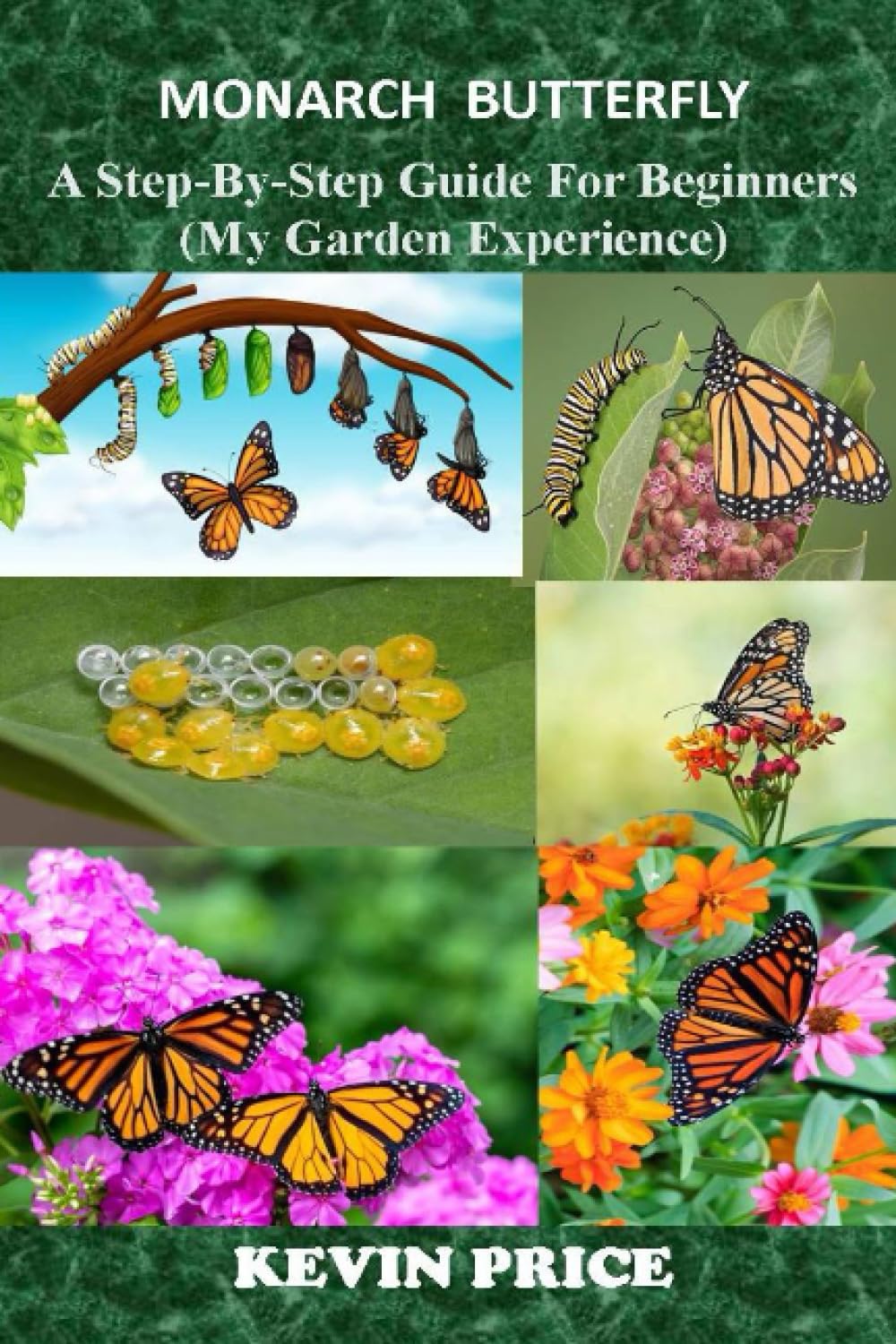MONARCH BUTTERFLY: A Step-by-Step Guide for Beginners (My Garden Experience)