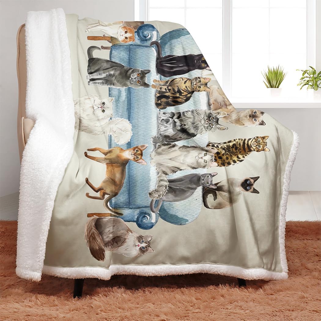 SXCHEN Sherpa Fleece Blanket Throw for Couch Bed Warm Soft Comfy Heavy Thick Fluffy Blankets for Winter Throws with Cute Kitten Cats Selfie Print Gifts for Cat Lovers,60 x 80 inches